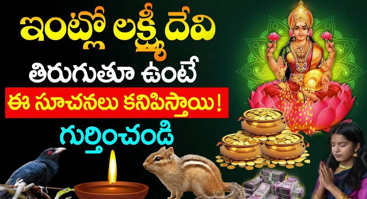 If Goddess Lakshmi is roaming around in your house