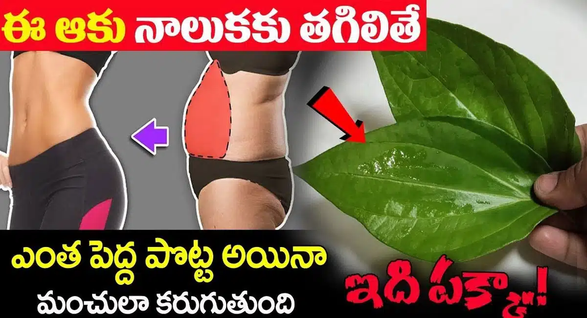 If you touch this leaf on your tongue, you will lose weight in your sleep