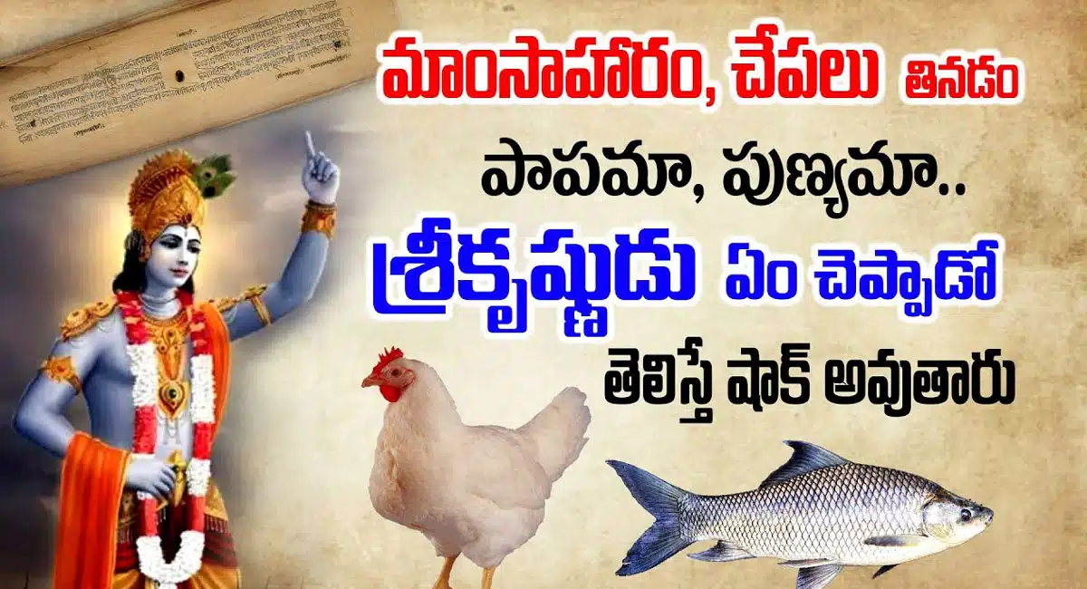 Lord Krishna said about eating meat