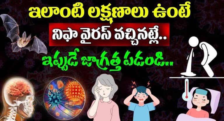 Neefa virus : ఇలాంటి లక్షణాలు ఉంటే నీఫా వైరస్ వచ్చినట్టే.. ఇప్పుడే జాగ్రత్త పడండి..!
