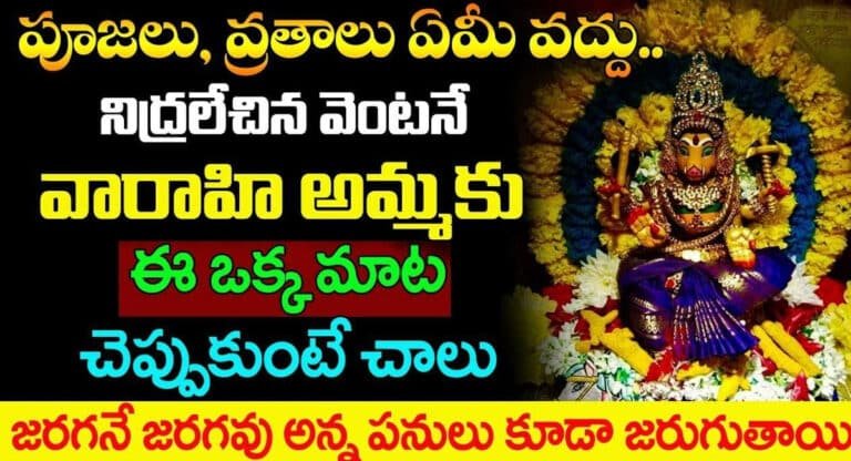 Varahi Amma : పూజలు, వ్రతాలు ఏమీ వద్దు.. నిద్రలేచిన వెంటనే వారాహి అమ్మకు ఈ ఒక్క మాట చెప్పుకుంటే చాలు…!