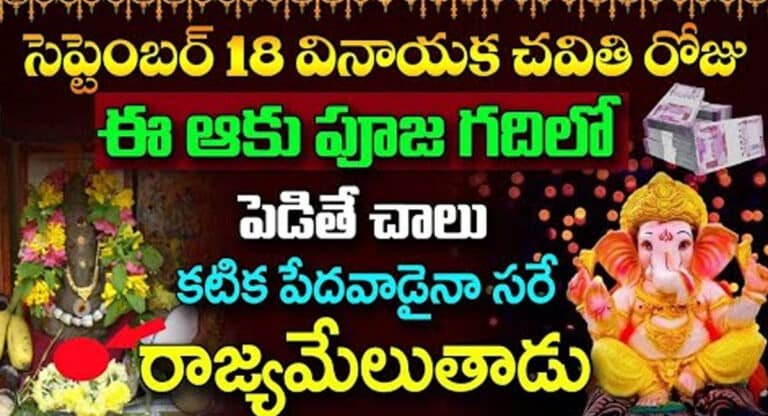 Vinayaka Chavithi : సెప్టెంబర్ 18 వినాయక చవితి రోజు ఈ ఆకు పూజ గదిలో పెడితే చాలు…!