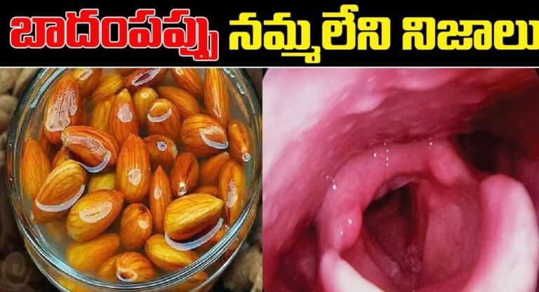 Almonds : బాదంపప్పు గురించి నమ్మలేని నిజాలు…!