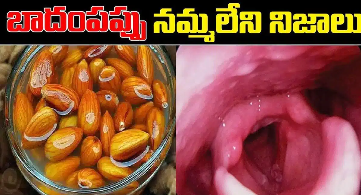 Unbelievable facts about almonds