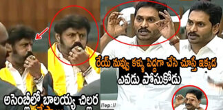 ys jagan angry on balakrishna in ap assembly