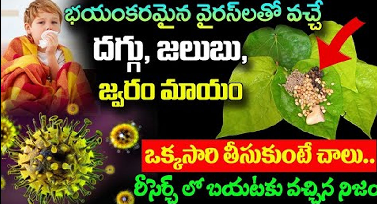 భయంకరమైన వైరస్లతో వచ్చే దగ్గు, జలుబు, జ్వరం మాయం..!