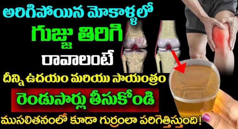 కేవలం రోజుకు రెండుసార్లు చాలు… మోకాళ్లలో అరిగిపోయిన గుజ్జు తిరిగి వస్తుంది