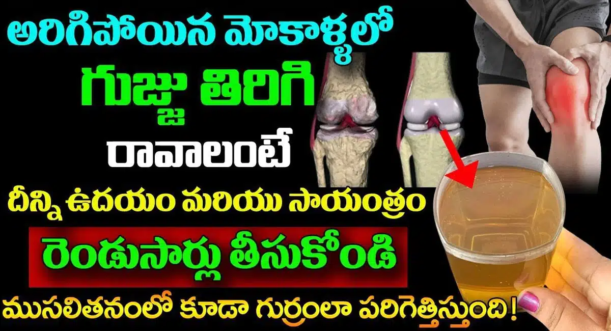 Just a couple of times a day will bring back the worn-out pulp in the knees