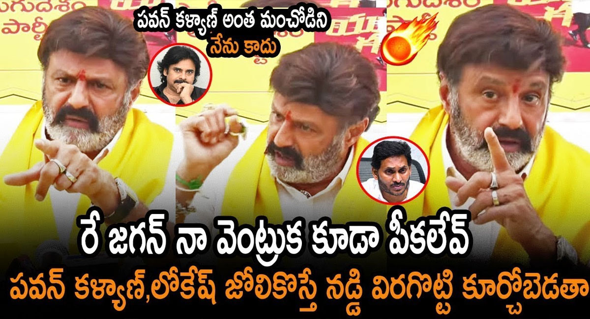 Balakrishna : పవన్ కళ్యాణ్ అంత మంచోడిని కాదు.. రే జగన్ నా వెంట్రుక కూడా పీకలేవ్.. బాలకృష్ణ మాస్ వార్నింగ్ అదుర్స్