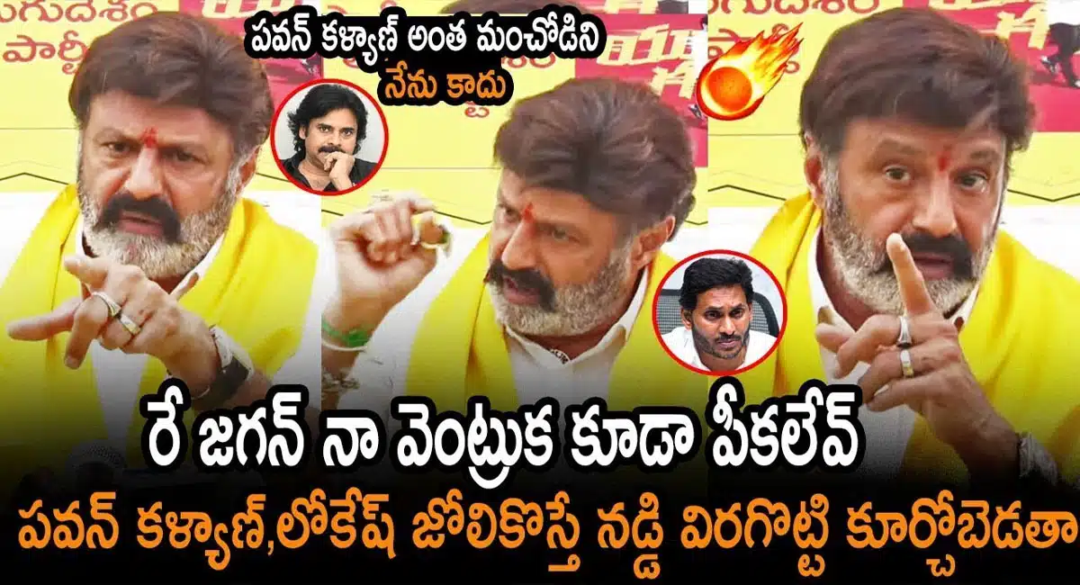balakrishna reacts on ys jagan comments about pawan kalyan and nara lokesh