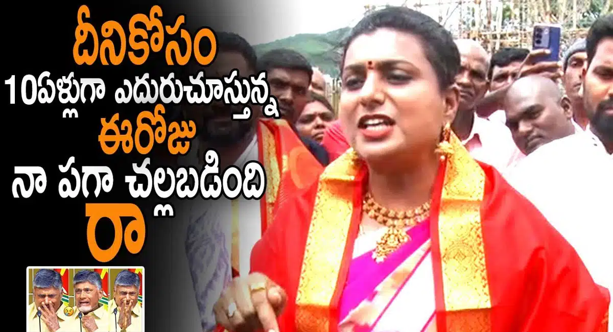 minister roja shcking comments on chandrababu