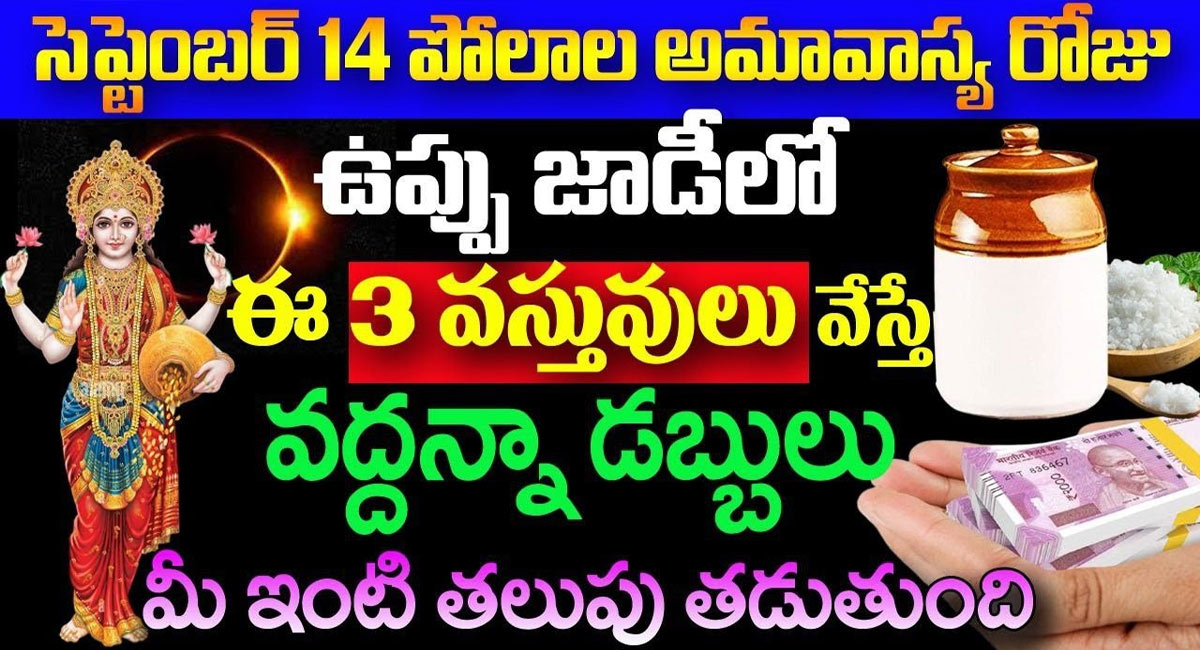 Amavasya : సెప్టెంబర్ 14 పొలాల అమావాస్య రోజు ఉప్పు డబ్బాలో ఈ మూడు వస్తువులు వేయండి చాలు…!