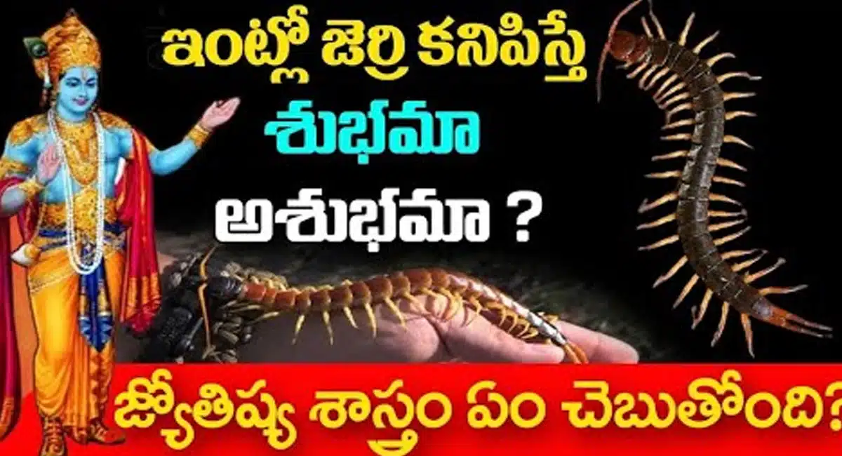 Shubhama Shubhama If you see Jerry at home, what does astrology say
