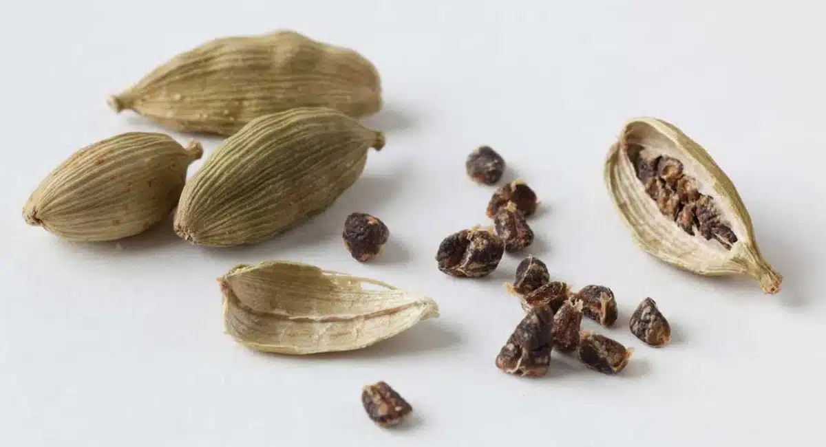 Health Tips : రోజు 2 యాలకులు తింటే 100 రోగాలకు చెక్ పెట్టినట్లే…!!