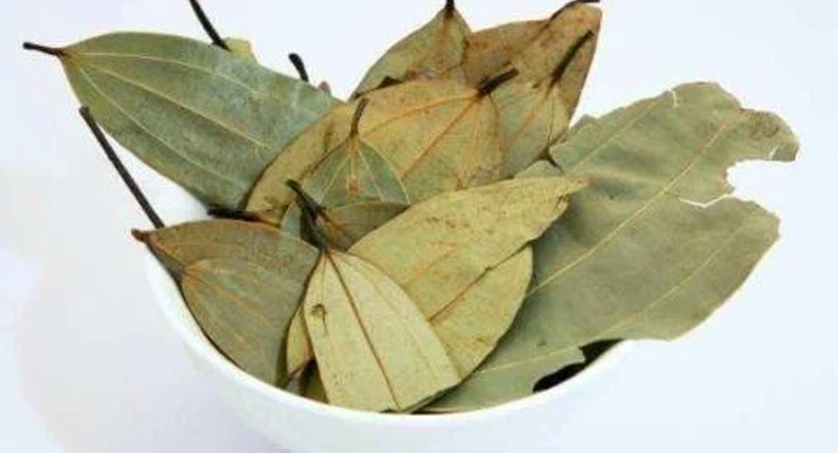 Biryani leaves : బిర్యానీ ఆకులతో టీ… వందల వ్యాధులతో డీ…!