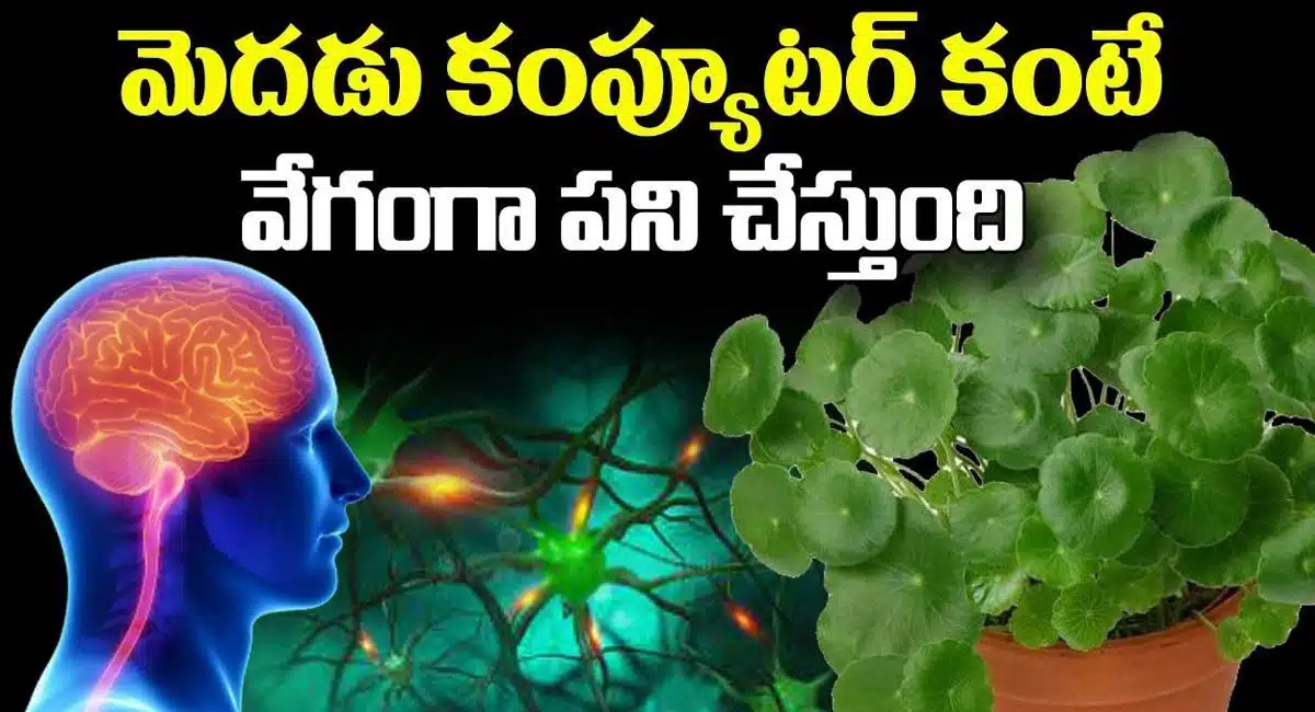 Brain works faster than computer