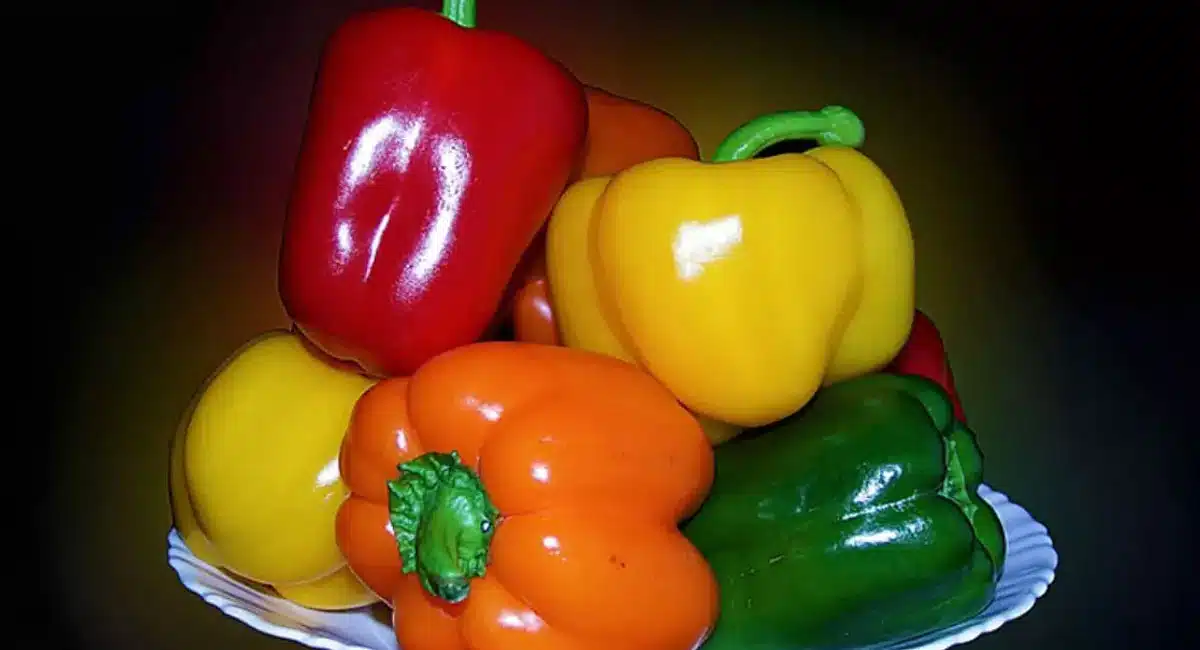 Health Benefits of Capsicum