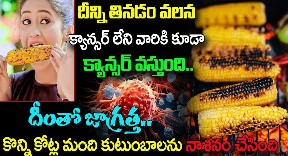 Corn Mokkajonna : దీన్ని తినడం వలన క్యాన్సర్ లేని వారికి కూడా క్యాన్సర్ వస్తుంది…!