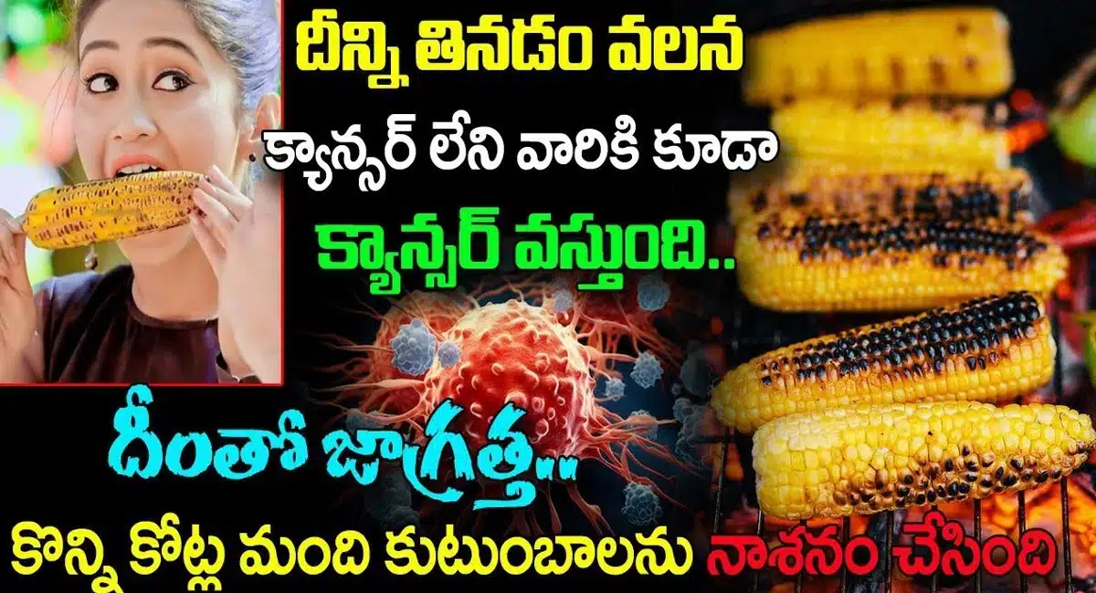 Amazing Health Benefits Of Corn Mokkajonna In Telugu