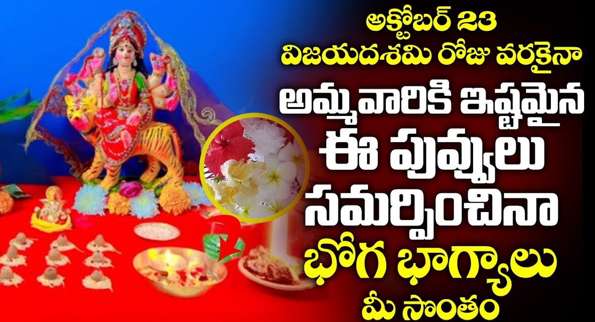 Dussehra : విజయదశమి రోజు వరకైనా అమ్మవారికి ఇష్టమైన పూలు సమర్పిస్తే చాలు…