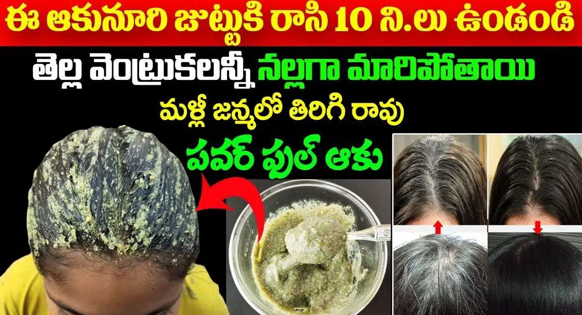 Turn white hair black in just ten minutes