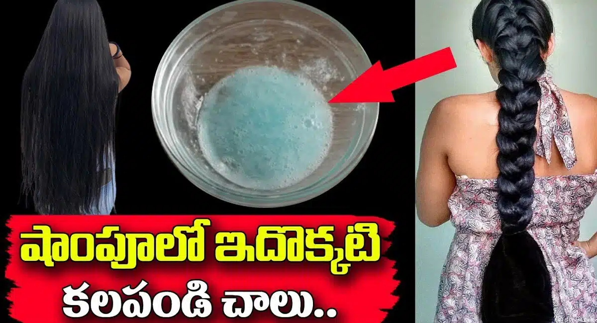 Hair Tips : షాంపూలో ఇదొక్కటి కలపండి చాలు.. మీరే ఆశ్చర్యపోతారు