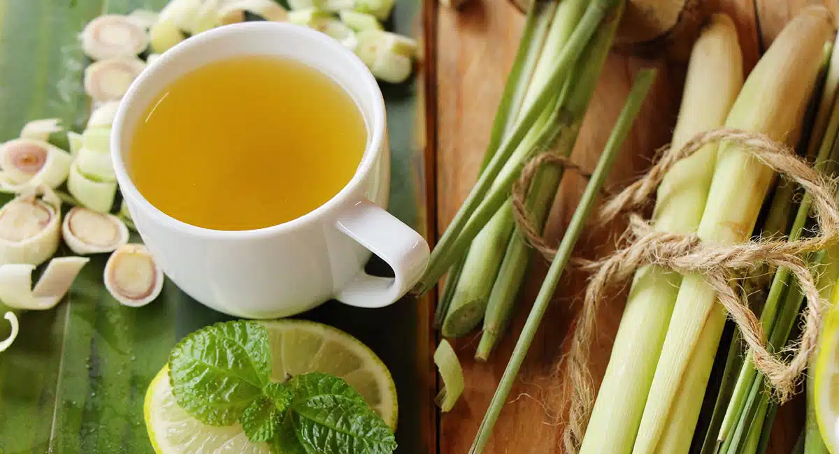 Drinking lemon grass tea relieves stress, kidney, skin, muscle pain