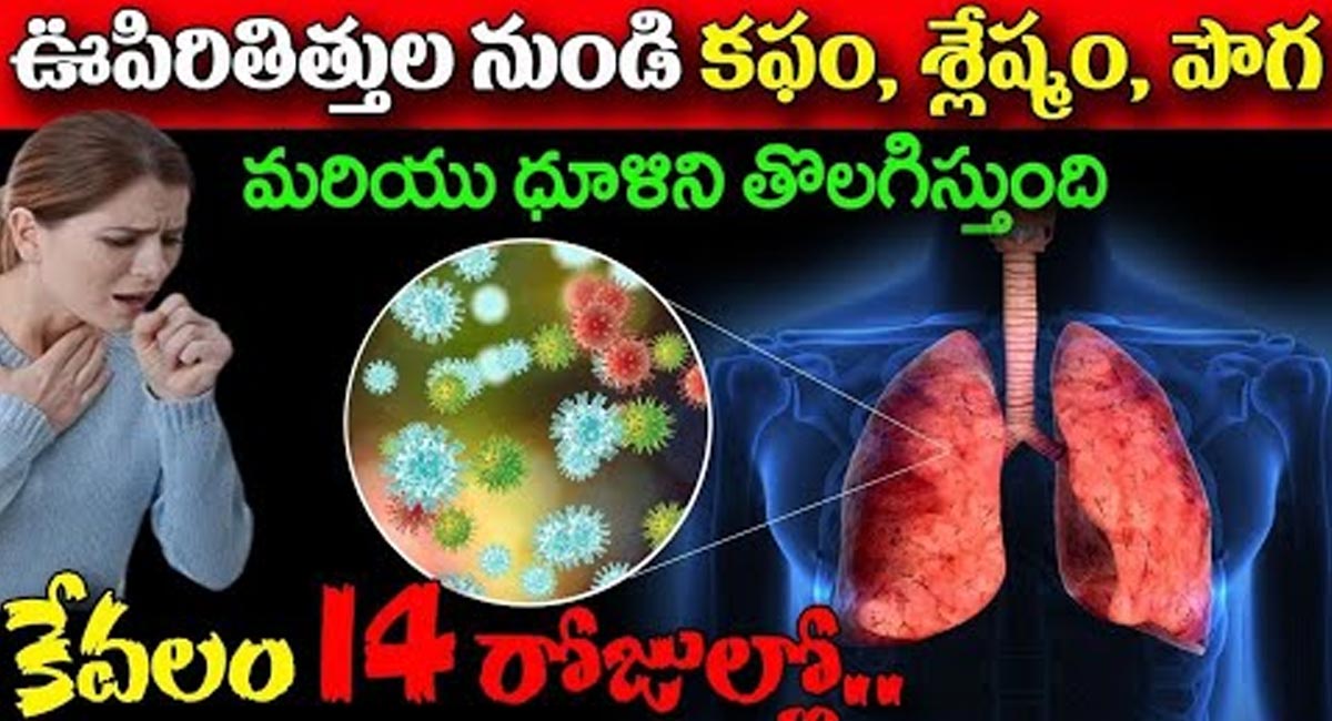 Lungs : కేవలం 14 రోజులలో ఊపిరితిత్తుల నుండి కఫం, శ్లేషం, పొగ మరియు ధూళిని తొలగిస్తుంది…!