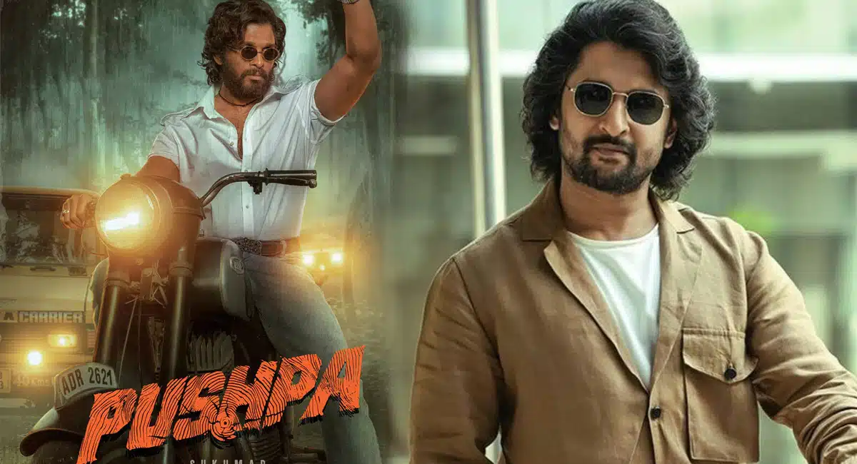 Natural Star Nani Great Words About Allu Arjun National Award pushpa