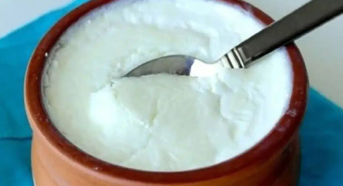 This is what happens when you eat curd in winter