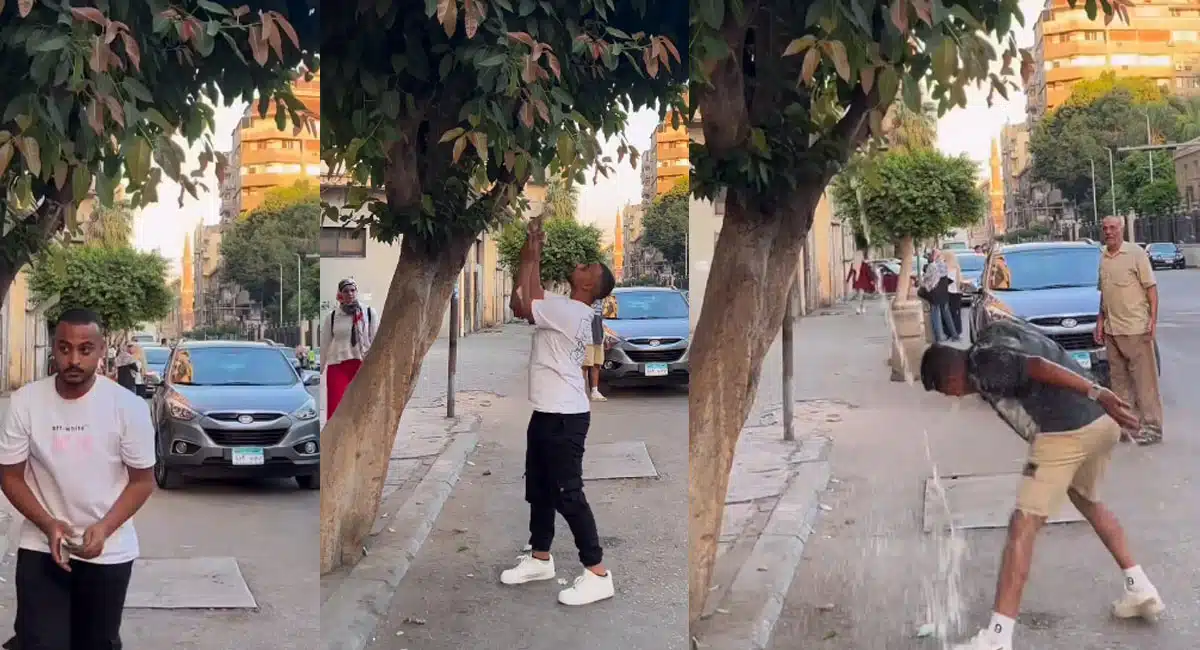 Money frank video