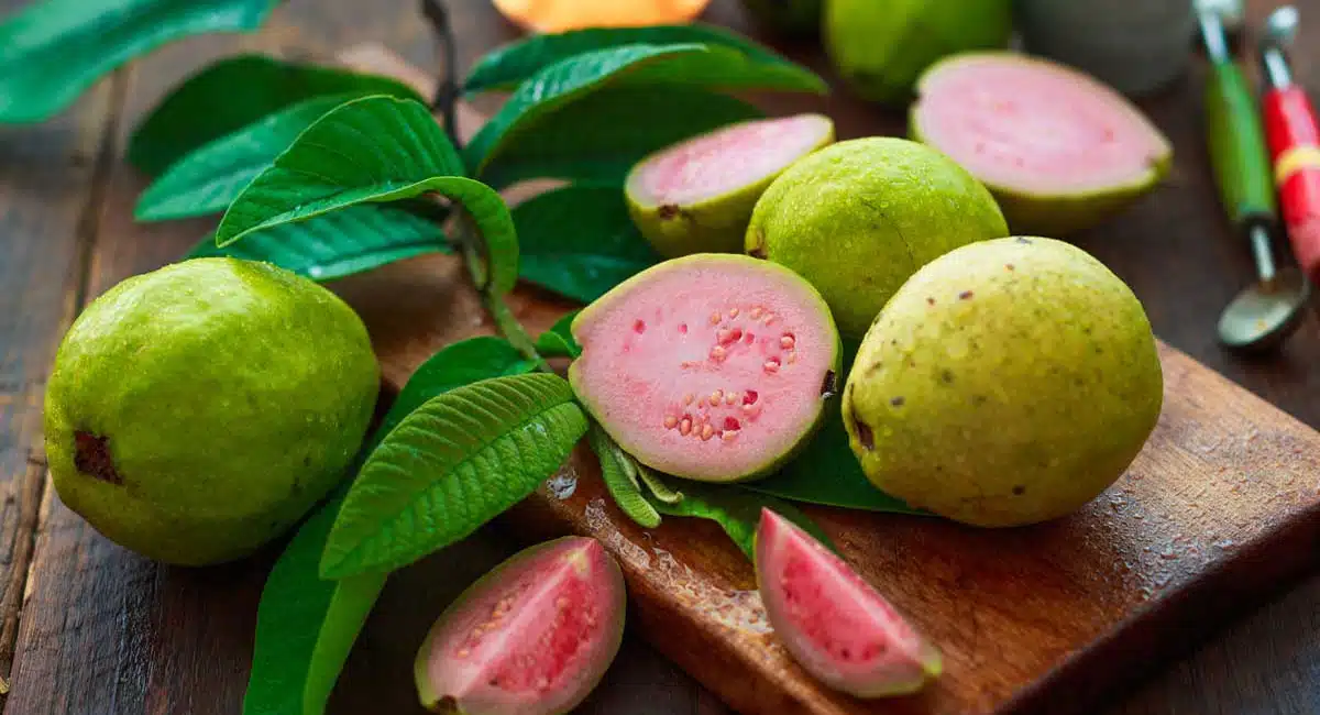 health benefits of guava