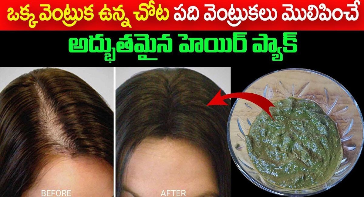 Hair : ఒక్క వెంట్రుక ఉన్నచోట 10 వెంట్రుకలు మొలిపించే అద్భుతమైన హెయిర్ ప్యాక్…!