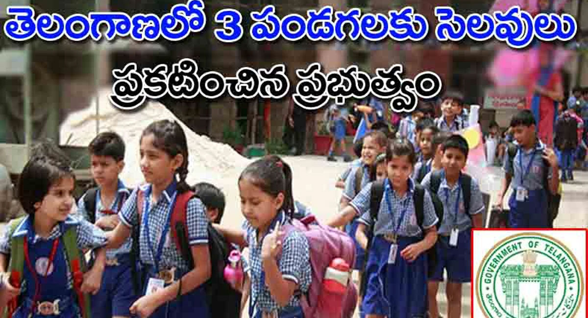 School Holidays : తెలంగాణ విద్యార్థులకు గుడ్ న్యూస్.. సెలవులే సెలవులు.. దసరా, దీపావళి, సంక్రాంతి సెలవుల ప్రకటన