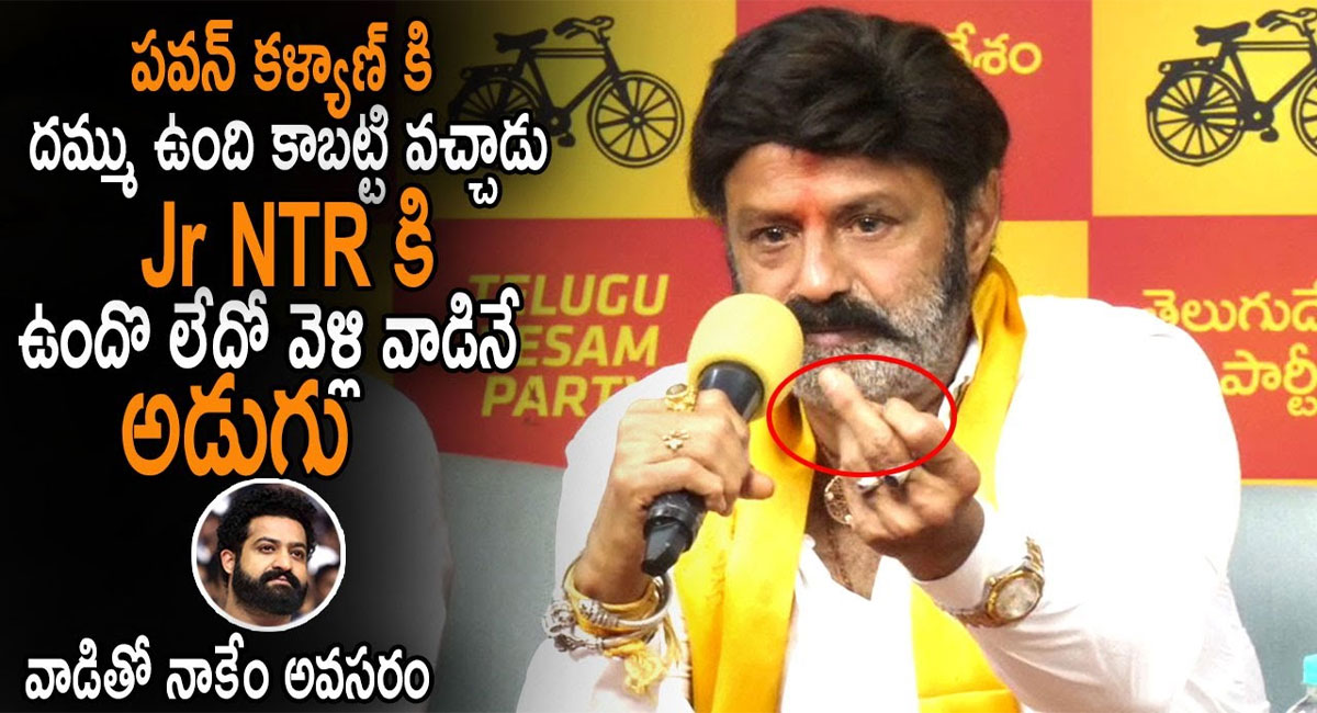 Balakrishna : జూనియర్ ఎన్టీఆర్ ఎవడో నాకు తెలియదు.. బాలకృష్ణ షాకింగ్ రిప్లై