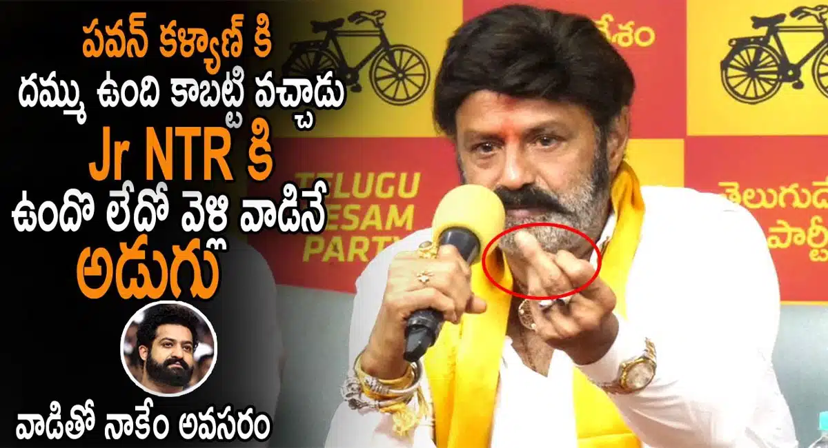 balakrishna shocking comments on junior ntr over tdp