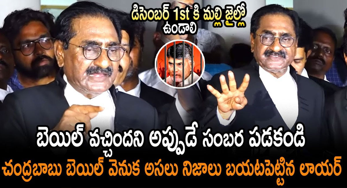 Chandrababu Bail : చంద్రబాబుకు బెయిల్ వచ్చిందని సంబురపడకండి.. బెయిల్ వెనుక అసలు నిజాలు బయటపెట్టిన ప్రభుత్వం తరుపు లాయర్