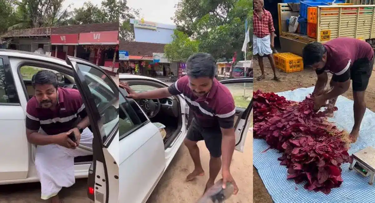 farmer comes in an Audi car and sells vegetables