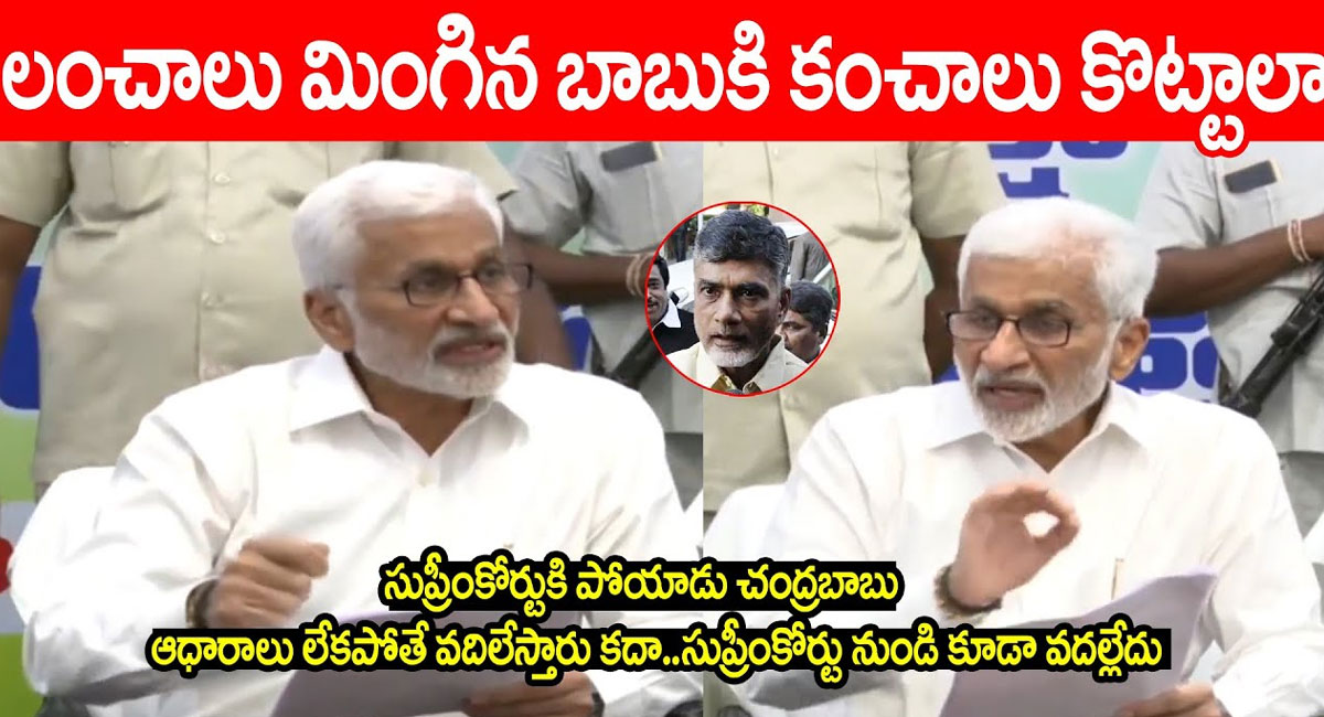 Vijayasai Reddy : లంచాలు తినేసి చంద్రబాబు జైలుకి పోతే బయట కంచాలు మోగిస్తున్నారా? రాడ్డు దింపిన విజయసాయిరెడ్డి