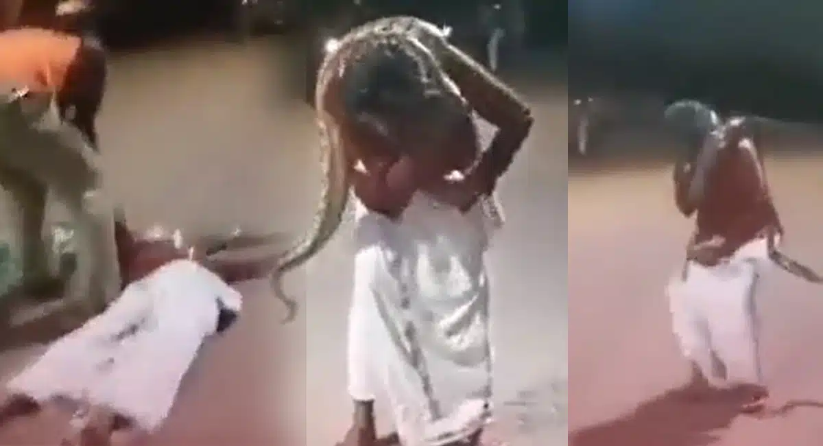 Viral Video Man adventure to python