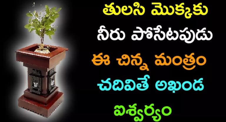 Tulasi Plant : తులసి మొక్కకు నీరు పోసేటప్పుడు ఈ చిన్న మంత్రం చదివితే అఖండ ఐశ్వర్యం…!!