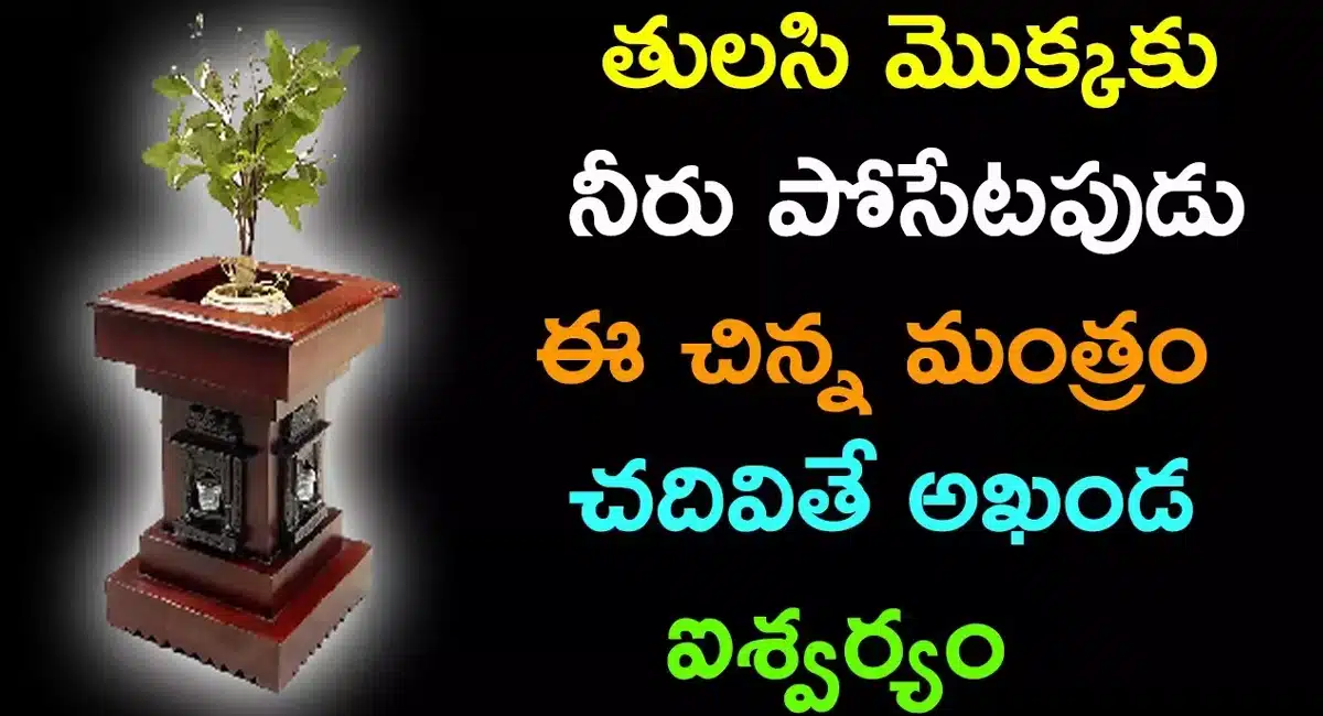 Tulasi Plant Manthra Today Devotional in Telugu
