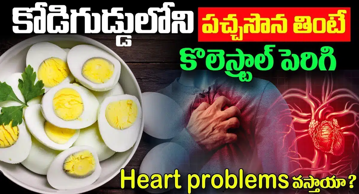 Heart Problems : కోడిగుడ్డులోని పచ్చ సోన తింటే కొలెస్ట్రాల్ పెరిగి గుండె సమస్యలు వస్తాయా…
