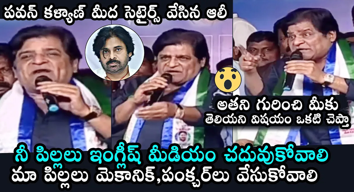 Pawan Kalyan : పవన్ కళ్యాణ్ మీద సెటైర్స్ వేసిన ఆలీ … ఏమన్నారంటే