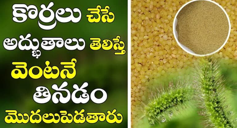 Korralu Benefits : కొర్రలు చేసే అద్భుతాలు తెలిస్తే వెంటనే తినడం మొదలు పెడతారు…!!