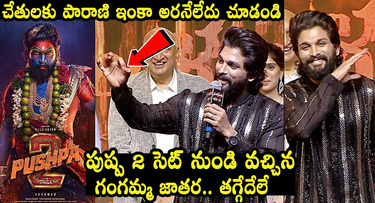 Allu Arjun : పుష్ప సినిమాపై బిగ్ అప్ డేట్ ఇచ్చిన అల్లు అర్జున్..!!