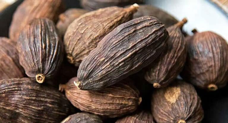 Black Cardamom : ఆరోగ్యానికి నల్ల యాలకులు చేసి మేలు తెలిస్తే ఆశ్చర్యపోతారు…!