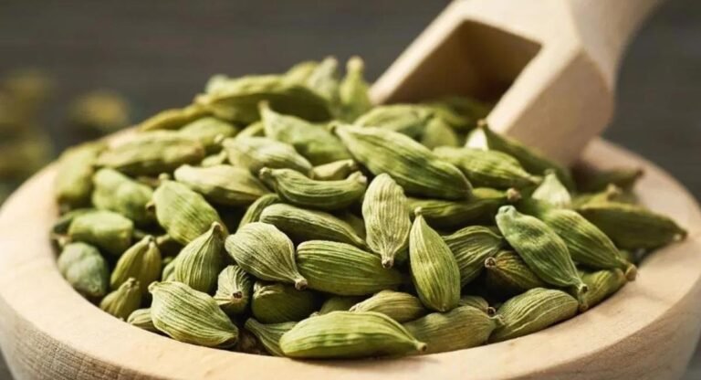 Cardamom : యాలకులతో ఈజీగా బరువు తగ్గొచ్చు ఎలాగో తెలిస్తే షాక్ అవుతారు…!