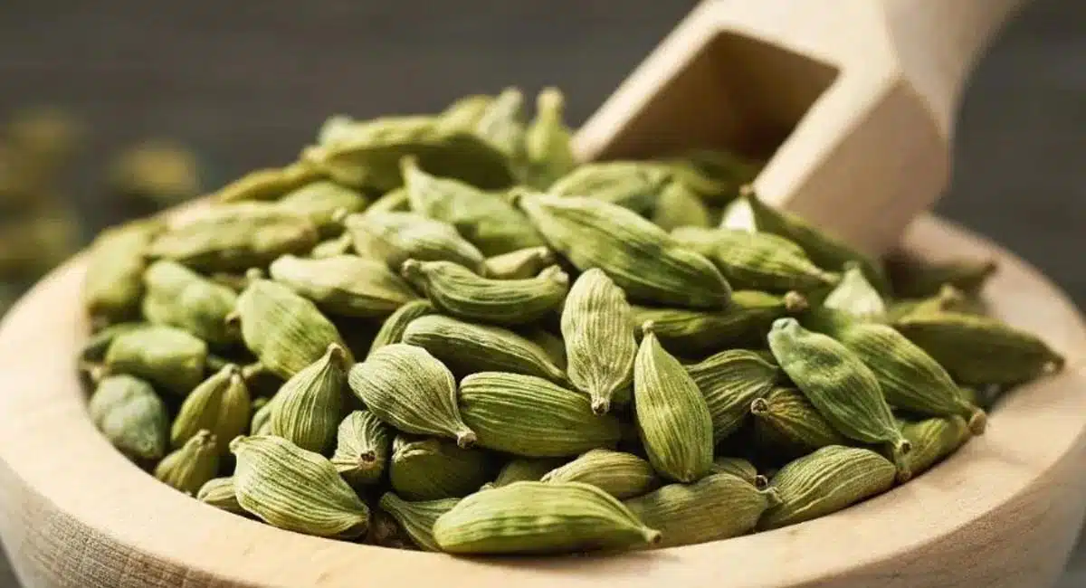 Cardamom : యాలకులతో ఈజీగా బరువు తగ్గొచ్చు ఎలాగో తెలిస్తే షాక్ అవుతారు...!