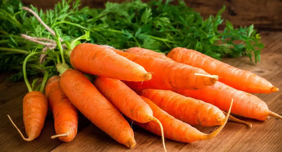 Carrot : షుగర్ ఉన్నవాళ్లు క్యారెట్ తింటే జరిగేది ఇదే...!